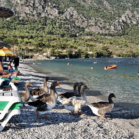 Cheerful 3 Bedroom 度假居