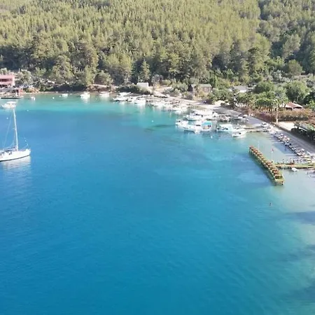 Cheerful 3 Bedroom *