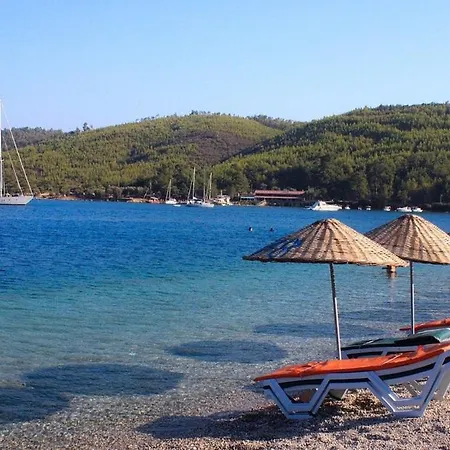 Case de vacanță Cheerful 3 Bedroom